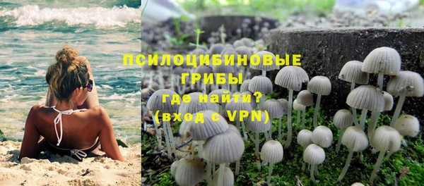ПСИЛОЦИБИНОВЫЕ ГРИБЫ Балабаново