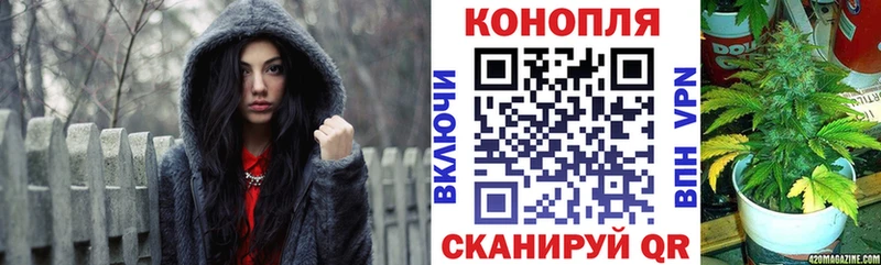 Марихуана сатива  Отрадная 